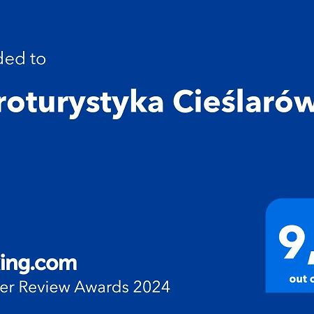 Agroturystyka Cieslarowka Lubawka Exterior foto